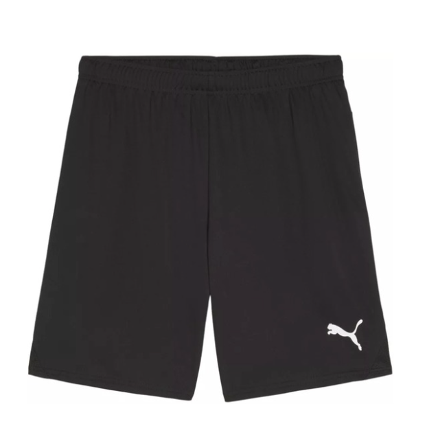 TeamGoal Shorts